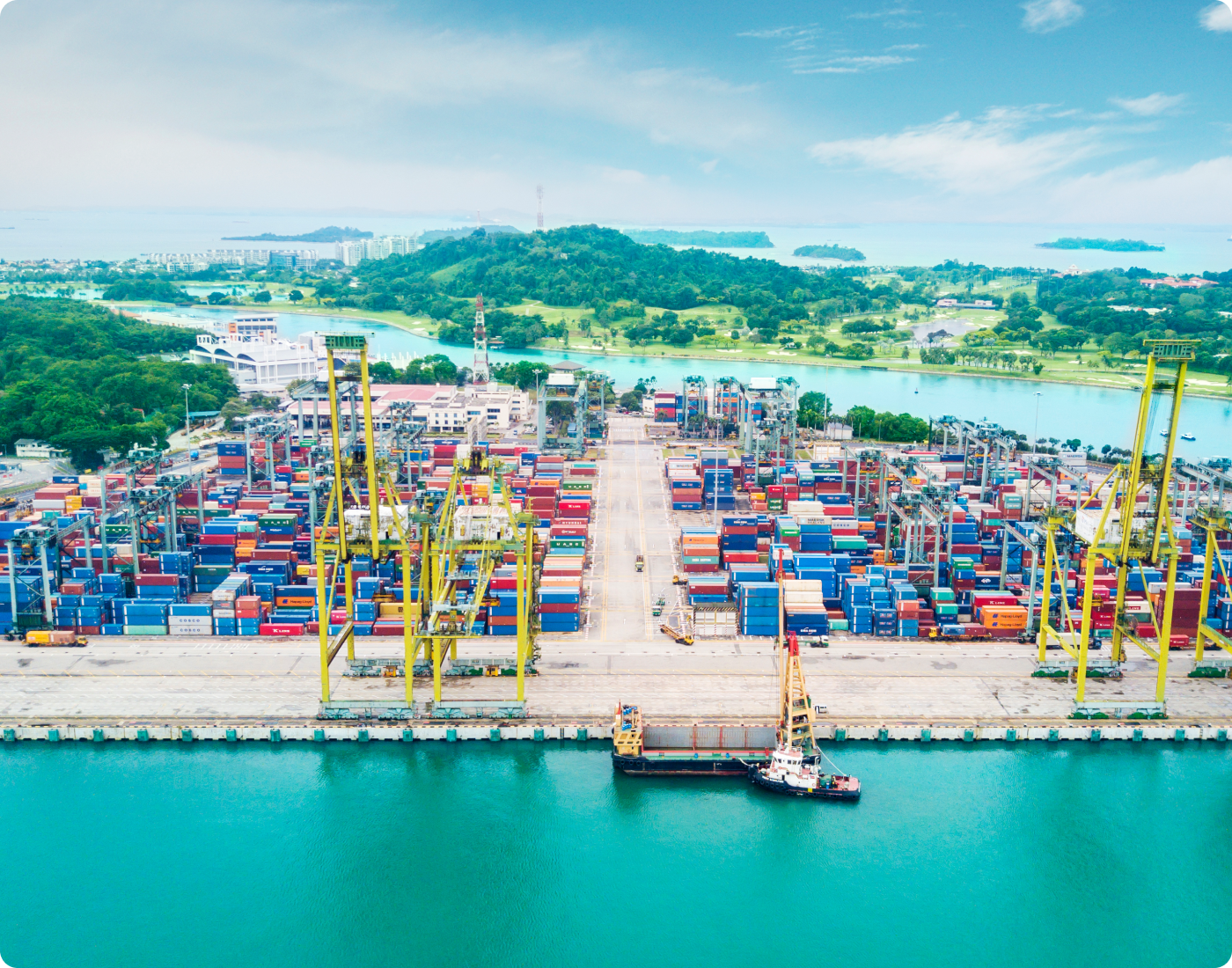 export-from-farm-to-brand-image