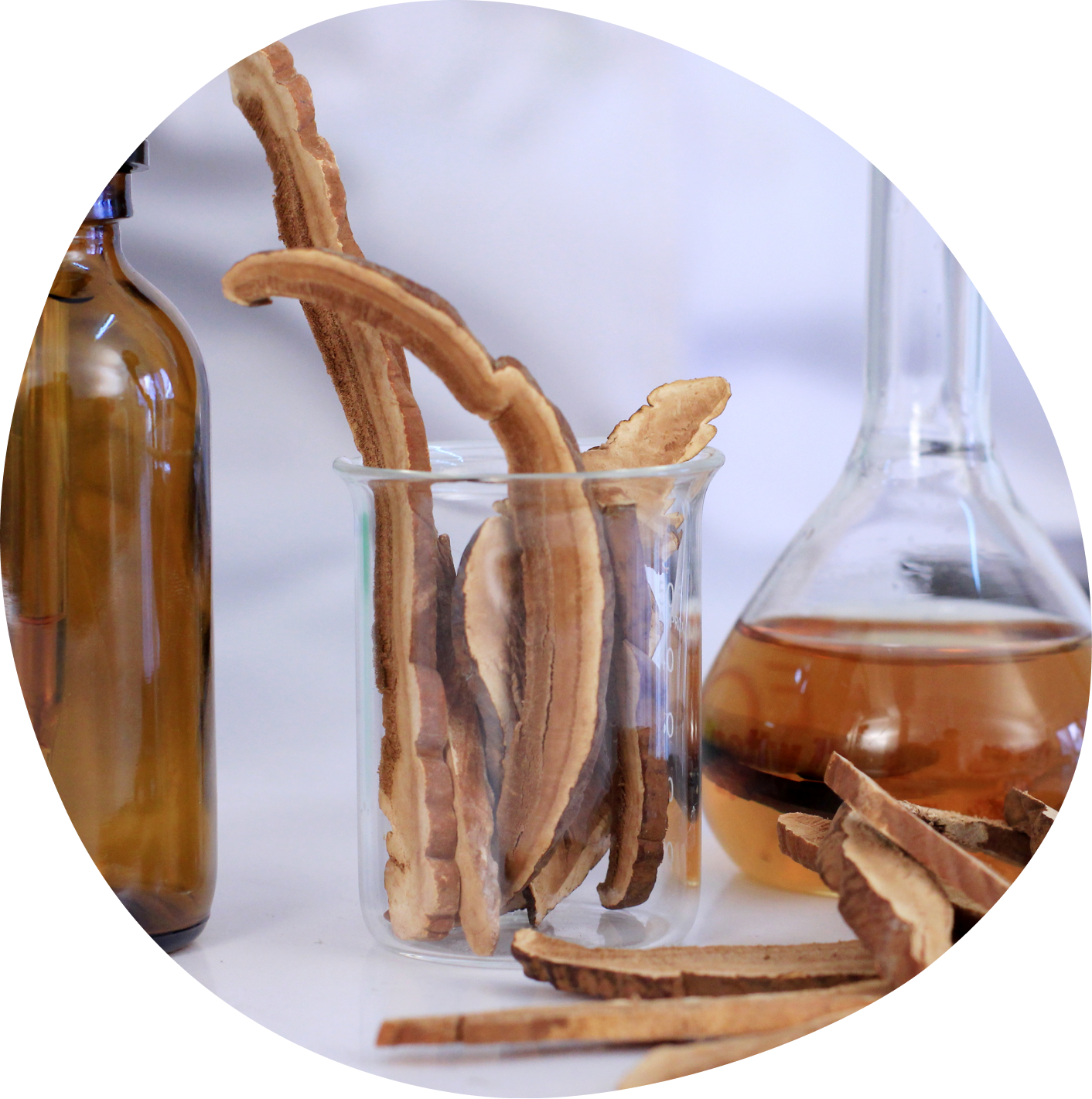 East–West Scientific Synergy