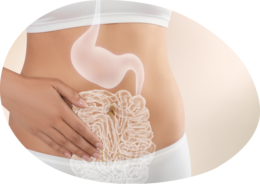 Digestion & Gut Health