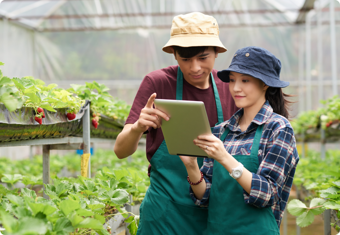 ODM (Original Design Manufacturer)